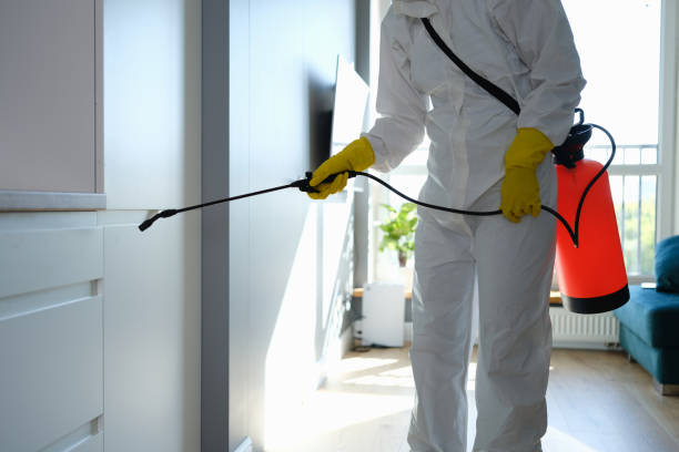 Best Mold Remediation for Healthcare Facilities  in Grandview, TX